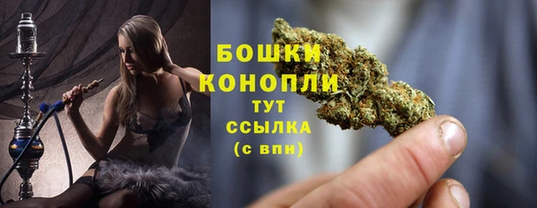 сатива Коряжма