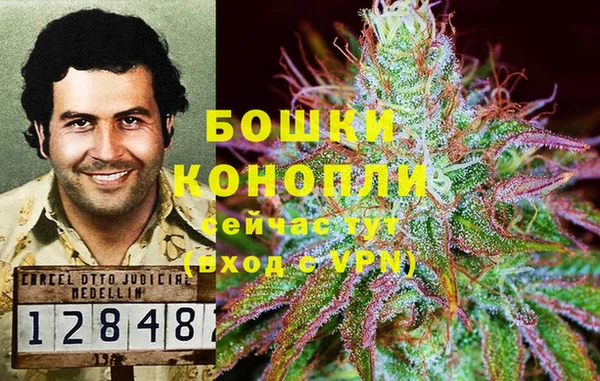 тгк Осинники