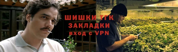 тгк Осинники